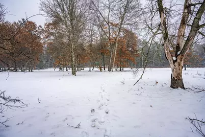 Lot 13 W Kingsbury Drive, Necedah, WI 54646 - Photo 20