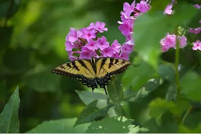 W10892 County Road V, Lodi, WI 53555 - Photo 54