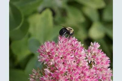 W10892 County Road V, Lodi, WI 53555 - Photo 58