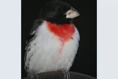 W10892 County Road V, Lodi, WI 53555 - Photo 56