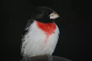 W10892 Co Rd V, Lodi, WI 53555 - Photo 56