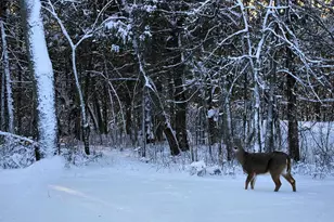 W10892 Co Rd V, Lodi, WI 53555 - Photo 44