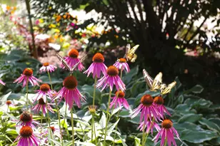 W10892 Co Rd V, Lodi, WI 53555 - Photo 60