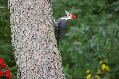 W10892 County Road V, Lodi, WI 53555 - Photo 52