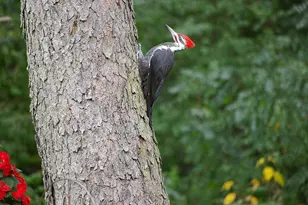 W10892 Co Rd V, Lodi, WI 53555 - Photo 52