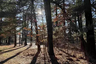 9 Pine Trail, Wisconsin Dells, WI 53965 - Photo 18