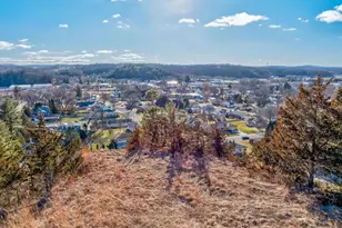 1713 Cross St, Cross Plains, WI 53528 - Photo 54