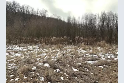 68.73 +/- Acres S Sleepy Hollow Road, Gays Mills, WI 54631 - Photo 14