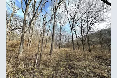 68.73 +/- Acres S Sleepy Hollow Road, Gays Mills, WI 54631 - Photo 22