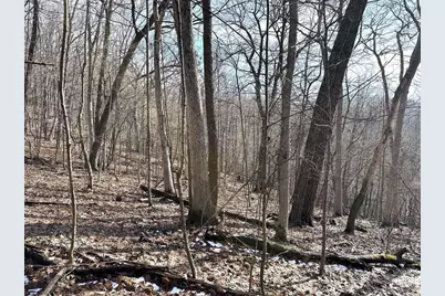 68.73 +/- Acres S Sleepy Hollow Road, Gays Mills, WI 54631 - Photo 32