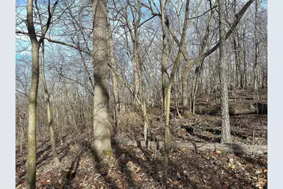 68.73 +/- Acres S Sleepy Hollow Road, Gays Mills, WI 54631 - Photo 30