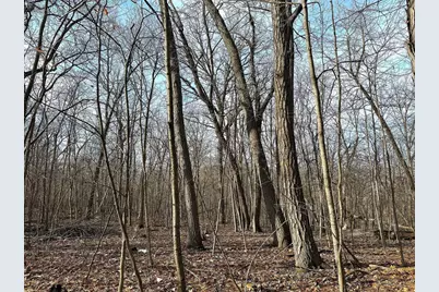 68.73 +/- Acres S Sleepy Hollow Road, Gays Mills, WI 54631 - Photo 26