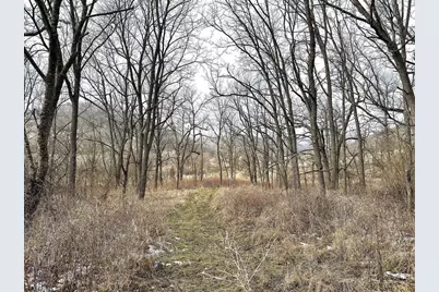 68.73 +/- Acres S Sleepy Hollow Road, Gays Mills, WI 54631 - Photo 18