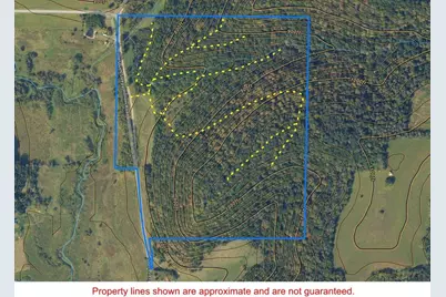 68.73 +/- Acres S Sleepy Hollow Road, Gays Mills, WI 54631 - Photo 2