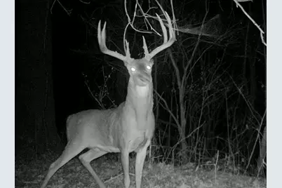 68.73 +/- Acres S Sleepy Hollow Road, Gays Mills, WI 54631 - Photo 42