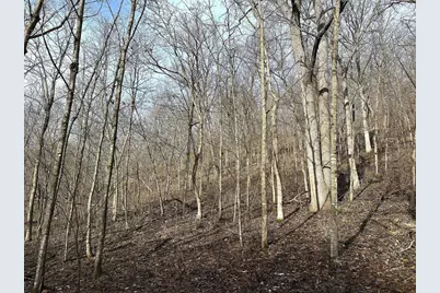 68.73 +/- Acres S Sleepy Hollow Road, Gays Mills, WI 54631 - Photo 24