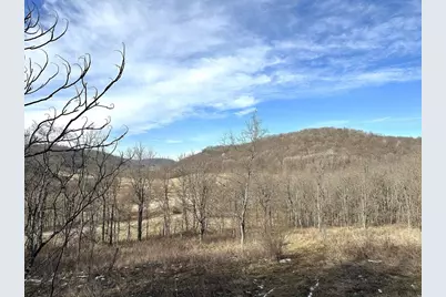 68.73 +/- Acres S Sleepy Hollow Road, Gays Mills, WI 54631 - Photo 34