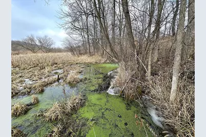 68.73 +/- Acres S Sleepy Hollow Road, Gays Mills, WI 54631 - Photo 16