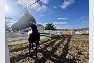 28632 County Hwy Ba, Richland Center, WI 53581 - Photo 64