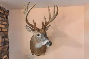 W1702 Golden Rd, Dalton, WI 53926 - Photo 28