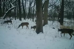 W1702 Golden Rd, Dalton, WI 53926 - Photo 78