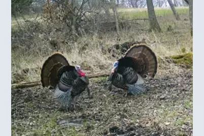 W1702 Golden Road, Dalton, WI 53926 - Photo 82