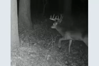 W1702 Golden Road, Dalton, WI 53926 - Photo 74