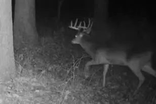 W1702 Golden Rd, Dalton, WI 53926 - Photo 74