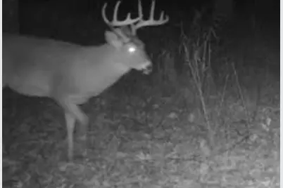 W1702 Golden Road, Dalton, WI 53926 - Photo 76