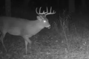 W1702 Golden Rd, Dalton, WI 53926 - Photo 76