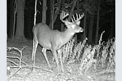 W1702 Golden Road, Dalton, WI 53926 - Photo 84