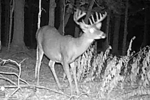 W1702 Golden Rd, Dalton, WI 53926 - Photo 84