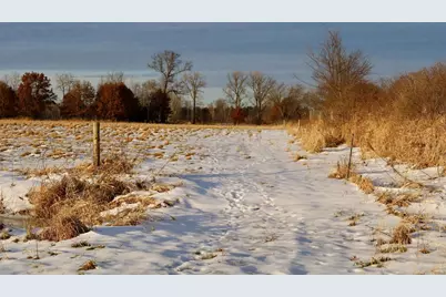 Tbd 5th Avenue, Camp Douglas, WI 54618 - Photo 12