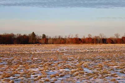 Tbd 5th Avenue, Camp Douglas, WI 54618 - Photo 38