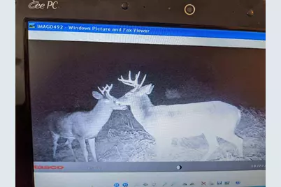 Tbd 5th Avenue, Camp Douglas, WI 54618 - Photo 18