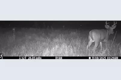 Tbd 5th Avenue, Camp Douglas, WI 54618 - Photo 22