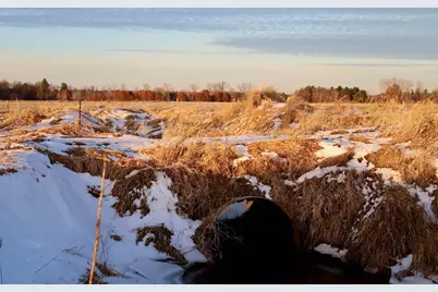 Tbd 5th Avenue, Camp Douglas, WI 54618 - Photo 36