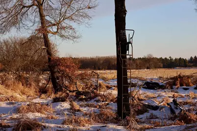 Tbd 5th Avenue, Camp Douglas, WI 54618 - Photo 6