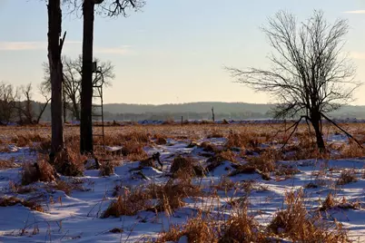 Tbd 5th Avenue, Camp Douglas, WI 54618 - Photo 10