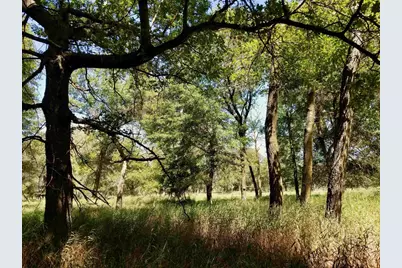 Tbd 5th Avenue, Camp Douglas, WI 54618 - Photo 8