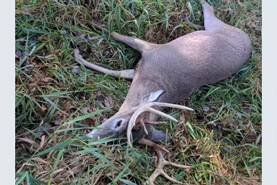 Tbd 5th Avenue, Camp Douglas, WI 54618 - Photo 16