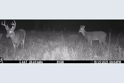 Tbd 5th Avenue, Camp Douglas, WI 54618 - Photo 20