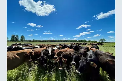 Tbd 5th Avenue, Camp Douglas, WI 54618 - Photo 26