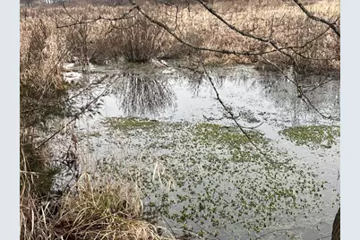 30895 Brookside Lane, Blue River, WI 53518 - Photo 54