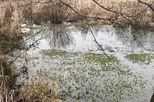 30895 Brookside Ln, Blue River, WI 53518 - Photo 54