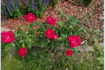 901 Innisbrook Court, Waunakee, WI 53597 - Photo 52