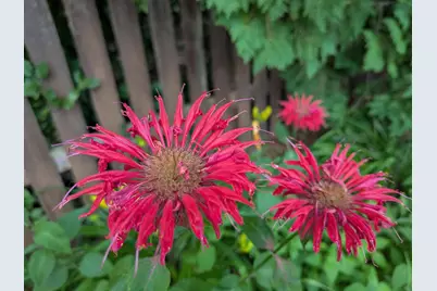 901 Innisbrook Court, Waunakee, WI 53597 - Photo 62