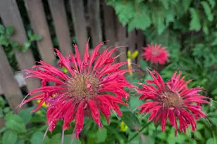 901 Innisbrook Ct, Waunakee, WI 53597 - Photo 62