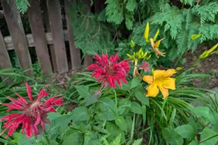 901 Innisbrook Ct, Waunakee, WI 53597 - Photo 56