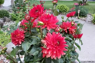 901 Innisbrook Ct, Waunakee, WI 53597 - Photo 54